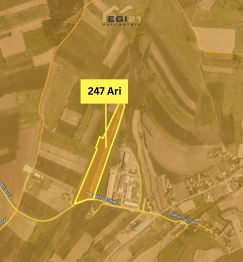 Truall 247 Ari për SHITJE, Janjevë