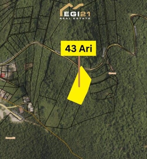 Truall 43 Ari për SHITJE, Butovc