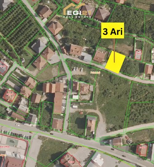 Truall 3 Ari për SHITJE, Mati 1