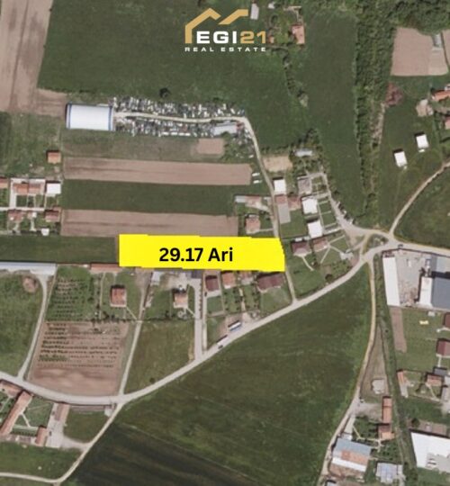 Truall 29.17 Ari për #SHITJE me Fletë Poseduese – Lebanë, Prishtinë