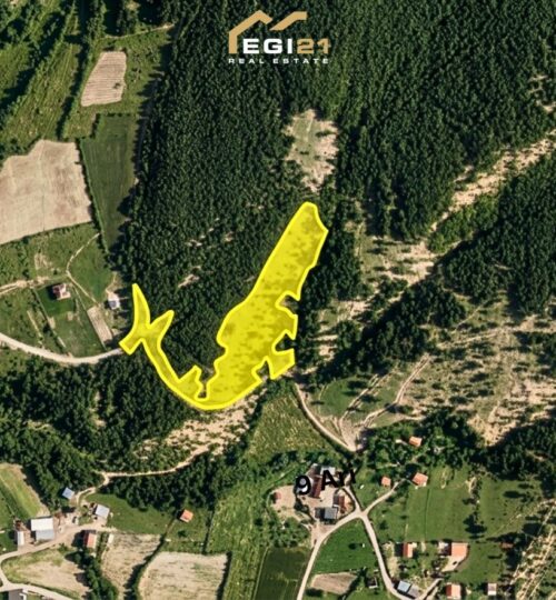 Truall 19.78 Ari për #SHITJE  me Fletë Poseduese – Busi, Prishtinë