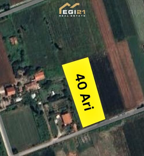 Truall 40 Ari për SHITJE, Lezhë, Shqipëri