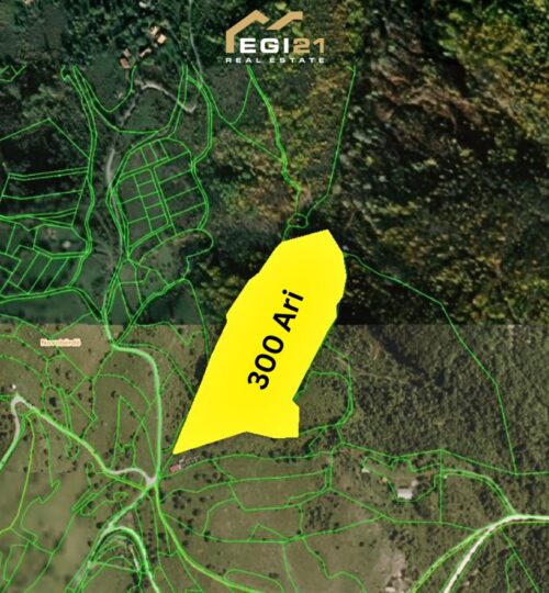 Truall  300 Ari për #SHITJE me Fletë Poseduese – Novobërdë!
